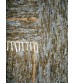 Bolyhos rongyszőnyeg szürke, barna 75 x 205 cm